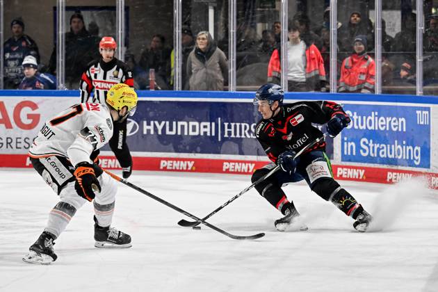 Kampf um den Puck Zweikampf zwischen Daniel Pfaffengut (Loewen Frankfurt, 77) und Justin Braun (Straubing Tigers, 61). GER, Straubing Tigers vs. Loewen Frankfurt, Eishockey, DEL, 38. Spieltag, Saison 2024 2025, 19.01.2025.. GER, Straubing Tigers vs. Loewen Frankfurt, Eishockey, DEL, 38. Spieltag, Saison 2024 2025, 19.01.2025. Straubing Copyright: xEibner-Pressefoto HeikexFeinerx EP_HFR