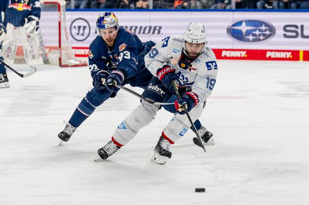 Kampf um den Puck Zweikampf zwischen Maximilian Kastner (EHC Red Bull Muenchen, 93) und Luke Esposito (Adler Mannheim, 19). GER, EHC Red Bull Muenchen vs. Adler Mannheim, Eishockey, DEL, Playoffs, Viertelfinale Spiel 2, Saison 2024 2025, 19.03.2025. GER, EHC Red Bull Muenchen vs. Adler Mannheim, Eishockey, DEL, Playoffs, Viertelfinale Spiel 2, Saison 2024 2025, 19.03.2025. Muenchen Copyright: xEibner-Pressefoto HeikexFeinerx EP_HFR