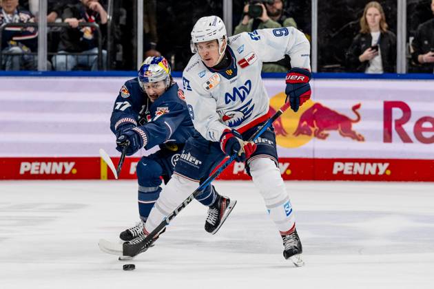 Kampf um den Puck Zweikampf zwischen Taro Hirose (EHC Red Bull Muenchen, 17) und Leon Gawanke (Adler Mannheim, 9). GER, EHC Red Bull Muenchen vs. Adler Mannheim, Eishockey, DEL, Playoffs, Viertelfinale Spiel 4, Saison 2024 2025, 23.03.2025. GER, EHC Red Bull Muenchen vs. Adler Mannheim, Eishockey, DEL, Playoffs, Viertelfinale Spiel 4, Saison 2024 2025, 23.03.2025. Muenchen Copyright: xEibner-Pressefoto HeikexFeinerx EP_HFR