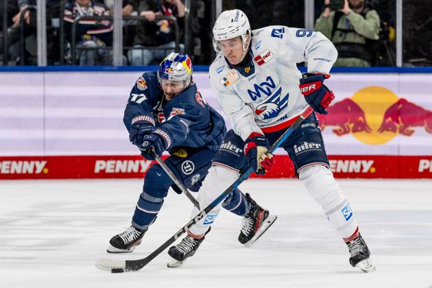 Kampf um den Puck Zweikampf zwischen Taro Hirose (EHC Red Bull Muenchen, 17) und Leon Gawanke (Adler Mannheim, 9). GER, EHC Red Bull Muenchen vs. Adler Mannheim, Eishockey, DEL, Playoffs, Viertelfinale Spiel 4, Saison 2024 2025, 23.03.2025. GER, EHC Red Bull Muenchen vs. Adler Mannheim, Eishockey, DEL, Playoffs, Viertelfinale Spiel 4, Saison 2024 2025, 23.03.2025. Muenchen Copyright: xEibner-Pressefoto HeikexFeinerx EP_HFR