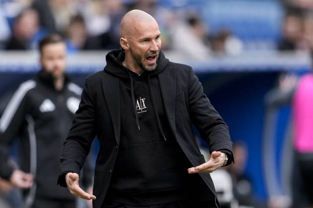 Christian Ilzer (Trainer, Cheftrainer, Hoffenheim), gibt Anweisungen, gestikuliert, mit den Armen gestikulieren, Einzelbild, Einzelfoto, Aktion, Action, 29.03.2025, Sinsheim (Deutschland), Fussball, Bundesliga, TSG 1899 Hoffenheim - FC Augsburg, DFB DFL REGULATIONS PROHIBIT ANY USE OF PHOTOGRAPHS AS IMAGE SEQUENCES AND OR QUASI-VIDEO.