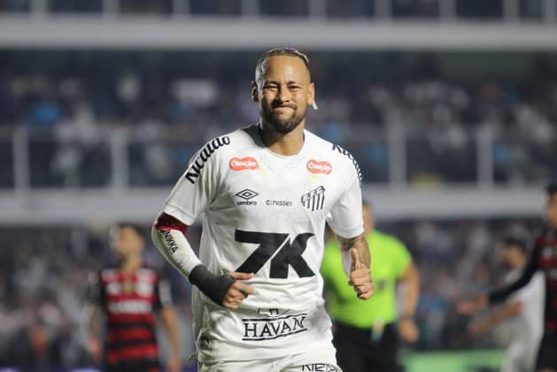 Match between Santos and Flamengo Santos (SP), 7 16 2025 - football Santos x Flamengo - player, during the match between Santos x Flamengo, valid for the 14th round of the Brazilian Championship Series A, held at Vila Belmiro, this Wednesday (16). Sao Paulo Brasil Copyright: xMiguelxMourax