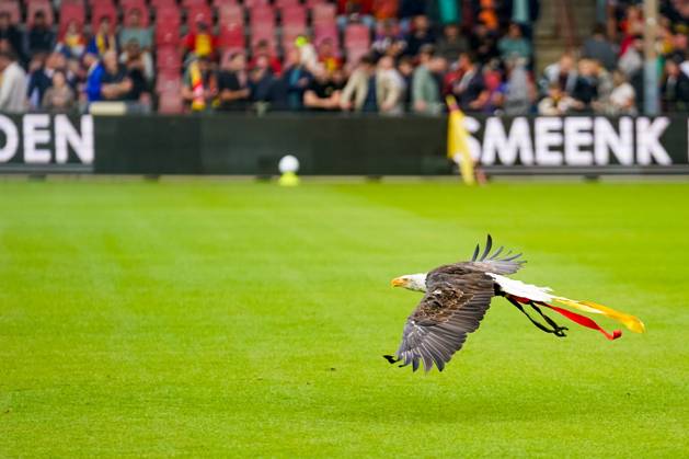 Eredivisie: Go Ahead Eagles v Sparta Rotterdam Deventer - Harly, the white-headed sea eagle mascott of Go Ahead Eagles during the third round of the 2025 2026 Eredivisie season. The match is set between Go Ahead Eagles and Sparta Rotterdam at De Adelaarshorst on 23 August 2025 in Deventer, The Netherlands. (VK Sportphoto Danny de Groot) Copyright: xDannyxdexGrootx