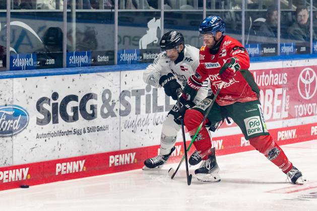 Kampf um den Puck Zweikampf zwischen Dominik Uher (Koelner Haie, 26) und Maximilian Renner (Augsburger Panther, 58) GER, Augsburger Panther vs. Koelner Haie, Eishockey, DEL, 5. Spieltag, Saison 2025 2026, 26.09.2025. GER, Augsburger Panther vs. Koelner Haie, Eishockey, DEL, 5. Spieltag, Saison 2025 2026, 26.09.2025. Augsburg Copyright: xEibner-Pressefoto FranzxFeinerx EP_HFR
