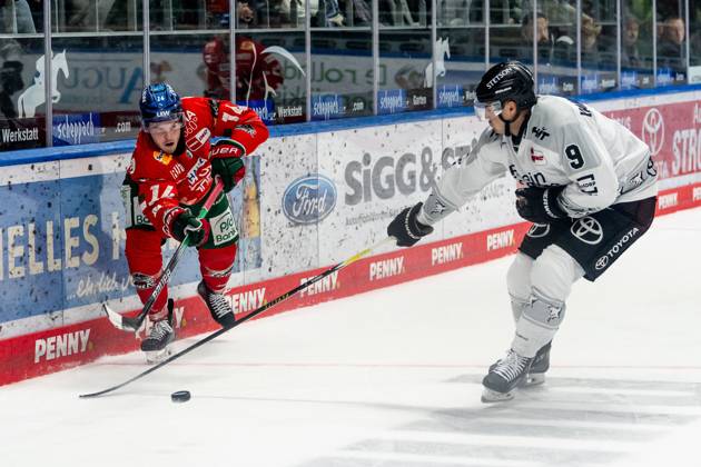 Kampf um den Puck Zweikampf zwischen Donald D.J. Busdeker (Augsburger Panther, 14) und Maximilian Kammerer (Koelner Haie, 9) GER, Augsburger Panther vs. Koelner Haie, Eishockey, DEL, 5. Spieltag, Saison 2025 2026, 26.09.2025. GER, Augsburger Panther vs. Koelner Haie, Eishockey, DEL, 5. Spieltag, Saison 2025 2026, 26.09.2025. Augsburg Copyright: xEibner-Pressefoto FranzxFeinerx EP_HFR