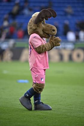 nach Spielende: Schlussjubel, Freude, Glueck, Jubel Maskottchen Hoffie TSG 1899 Hoffenheim Pink viiolett Trikot Sondertrikot Aktion GEMEINSAM GEGEN BRUSTKREBS TSG 1899 Hoffenheim klatscht aufmunternd in die Haende, Beifall TSG 1899 Hoffenheim vs 1. FC Heidenheim 1846 FCH 25.10.2025 DFL REGULATIONS PROHIBIT ANY USE OF PHOTOGRAPHS AS IMAGE SEQUENCES AND OR QUASI-VIDEO TSG 1899 Hoffenheim vs 1. FC Heidenheim 1846 FCH