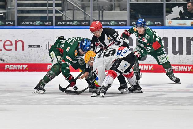 Penny DEL; Augsburger Panther - Fischtown Pinguins, 28.10.2025 beim Bully Alexandre GRENIER (Augsburger Panther 82) und Alxex FRIESEN (Fischtown Pinguins 57) beim match zwischen den Augsburger Panthern und den Fischtown Pinguins am 15. Spieltag der Penny DEL im Curt Frenzel Stadion am 28.10.2025 Copyright: xBEAUTIFULxSPORTS Goldbergx