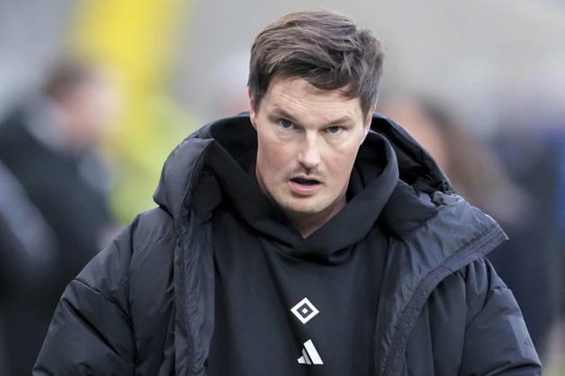 Merlin Polzin (Trainer, Cheftrainer, HSV), Einzelbild, Einzelfoto, Aktion, Action, 13.12.2025, Sinsheim (Deutschland), Fussball, Bundesliga, TSG 1899 Hoffenheim - Hamburger SV, DFB DFL REGULATIONS PROHIBIT ANY USE OF PHOTOGRAPHS AS IMAGE SEQUENCES AND OR QUASI-VIDEO.