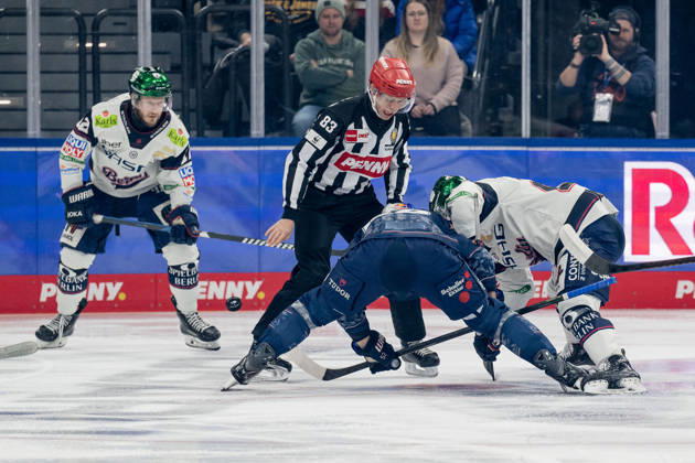 Linesperson David Tschirner fuehrt ein Bully Faceoff aus zwischen Patrick Hager (EHC Red Bull Muenchen, 52) und Leonhard Pfoederl (Eisbaeren Berlin, 93) GER, EHC Red Bull Muenchen vs. Eisbaeren Berlin, Eishockey, DEL, 37. Spieltag, Saison 2025 2026, 06.01.2026. GER, EHC Red Bull Muenchen vs. Eisbaeren Berlin, Eishockey, DEL, 37. Spieltag, Saison 2025 2026, 06.01.2026. Muenchen Copyright: xEibner-Pressefoto FranzxFeinerx EP_HFR