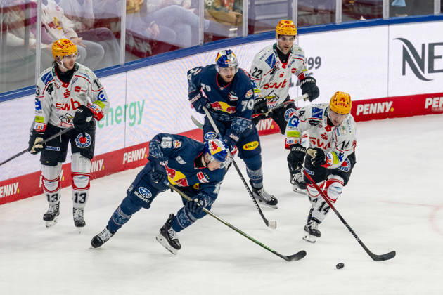 Kampf um den Puck Zweikampf zwischen Nikolaus Heigl (EHC Red Bull Muenchen, 15) und Ross Mauermann (Fischtown Pinguins Bremerhaven, 14) GER, EHC Red Bull Muenchen vs. Fischtown Pinguins Bremerhaven, Eishockey, DEL, 42. Spieltag, Saison 2025 2026, 23.01.2026. GER, EHC Red Bull Muenchen vs. Fischtown Pinguins Bremerhaven, Eishockey, DEL, 42. Spieltag, Saison 2025 2026, 23.01.2026. Muenchen Copyright: xEibner-Pressefoto HeikexFeinerx EP_HFR