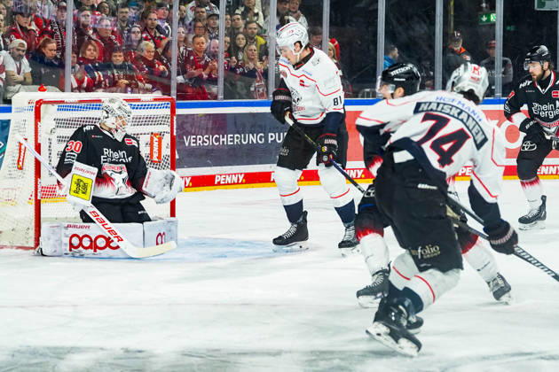 Eishockey Penny-DEL 43. Spieltag Kölner Haie - Nürnberg Ice Tigers am 25.01.2026 in der Lanxess Arena in Köln Cody Haiskanen ( Nürnberg ) , rechts aussen - erzielt den Treffer zum 1:1 Gemäß den Vorgaben der DEL Deutsche Eishockey Liga ist die Publikation und Weiterverwertung der Aufnahmen in elektronischen Medien und Endgeräten aller Art während des laufenden Spiels nicht zulässig.