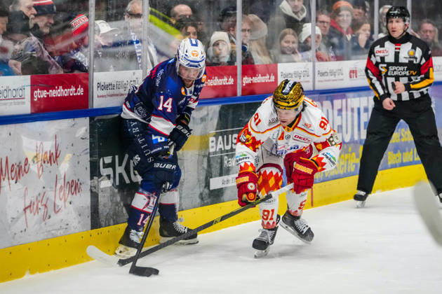 Kampf um den Puck Zweikampf zwischen Nickolas Latta (Ravensburg Towerstars, 14) und Tyson McLellan (ESV Kaufbeuren, 91), GER, Ravensburg Towerstars vs. ESV Kaufbeuren, Eishockey, DEL2, Spielzeit 2025 2026, 45 .Spieltag, Hauptrunde, 13.02.26 GER, Ravensburg Towerstars vs. ESV Kaufbeuren, Eishockey, DEL2, Spielzeit 2025 2026, 45 .Spieltag, Hauptrunde, 13.02.26 Ravenburg Copyright: xEibner-Pressefoto MaximilianxRisx EP_MRT