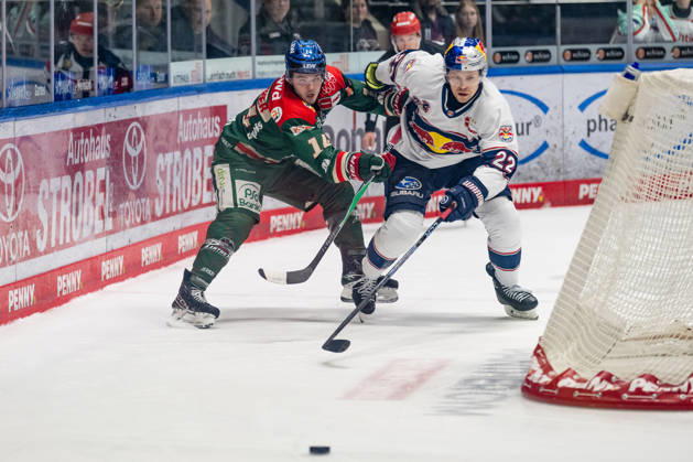 Kampf um den Puck Zweikampf zwischen Donald D.J. Busdeker (Augsburger Panther, 14) und Ville Pokka (EHC Red Bull Muenchen, 22) GER, Augsburger Panther vs. EHC Red Bull Muenchen, Eishockey, DEL, 46. Spieltag, Saison 2025 2026, 27.02.2026. GER, Augsburger Panther vs. EHC Red Bull Muenchen, Eishockey, DEL, 46. Spieltag, Saison 2025 2026, 27.02.2026. Augsburg Copyright: xEibner-Pressefoto FranzxFeinerx EP_HFR