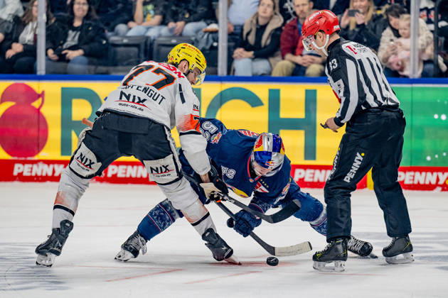 Linesperson David Tschirner fuehrt ein Bully Faceoff aus zwischen Daniel Pfaffengut (Loewen Frankfurt, 77) und Patrick Hager (EHC Red Bull Muenchen, 52) GER, EHC Red Bull Muenchen vs. Loewen Frankfurt, Eishockey, DEL, 50. Spieltag, Saison 2025 2026, 08.03.2026. GER, EHC Red Bull Muenchen vs. Loewen Frankfurt, Eishockey, DEL, 50. Spieltag, Saison 2025 2026, 08.03.2026. Muenchen Copyright: xEibner-Pressefoto FranzxFeinerx EP_HFR