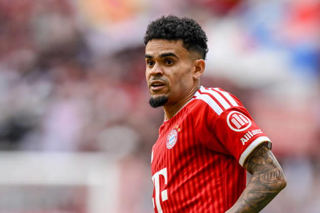 Luis Diaz (FC Bayern München) Schaut waehrend des spiels der Bundesliga zwischen FC Bayern München und 1. FC Köln, Allianz Arena am 16. May 2026 in München, Deutschland. (Foto von Harry Langer DeFodi Images) +++ Luis Diaz (FC Bayern München) Looks on during the Bundesliga match between FC Bayern München and 1. FC Köln at Allianz Arena on May 16, 2026 in München, Germany. (Photo by Harry Langer DeFodi Images) DFL regulations prohibit any use of photographs as image sequences and or quasi-video. (Photo by Harry Langer DeFodi Images) DFL regulations prohibit any use of photographs as image sequences and or quasi-video. -
