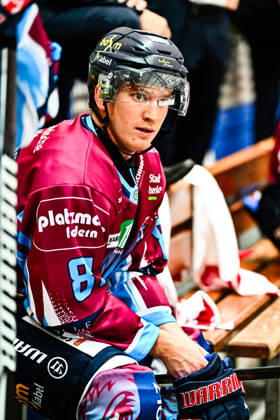 Mac Hollowell (Iserlohn Roosters, 81), GER, Iserlohn Roosters vs. Krefeld Pinguine, Eishockey, Penny-DEL, Testspiel, Spielzeit 2026 2027, 05.08.2026, GER, Iserlohn Roosters vs. Krefeld Pinguine, Eishockey, Penny-DEL, Testspiel, Spielzeit 2026 2027, 05.08.2026 Iserlohn Copyright: xJonasxBrockmann Eibner-Pressefotx EP_JBN
