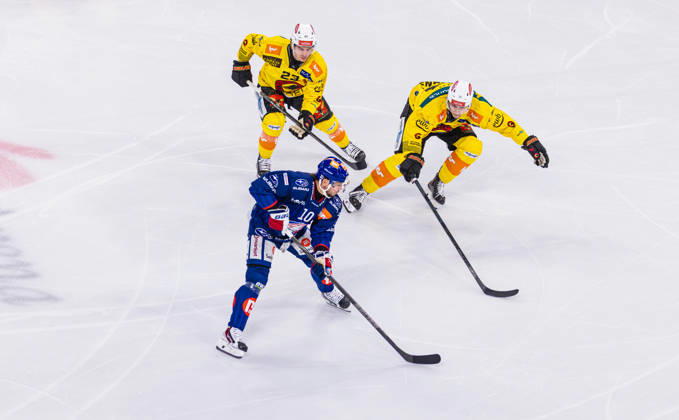 Ice hockey, Eishockey National League Regular Season - ZSC Lions vs. SC Ber Zurich, Switzerland, 15th Sep 2026: 23 Marco Lehmann and 51 Nils Rhyn (both Bern) put pressure on the puck-carrying 10 Sven Andrighetto (ZSC Lions). Copyright: xAndreasxHaasx