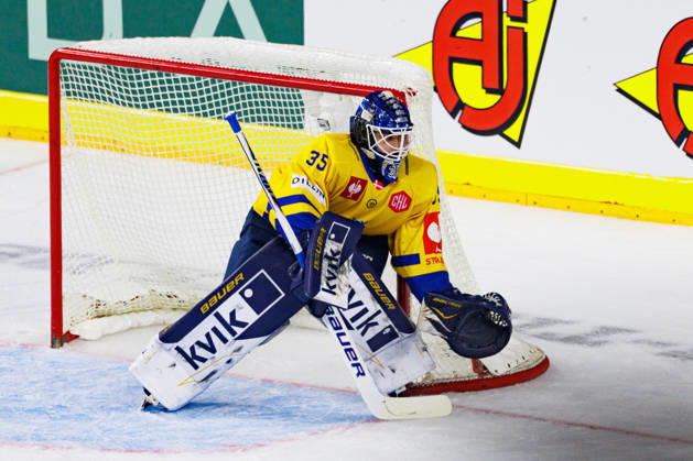 COLOGNE, GERMANY - 7 OCTOBER 2026: Image shows Janis Fecers (Herning Blue Fox, 35) during Champions Hockey League 2026 27 League Phase, Matchday 5: Kölner Haie vs Herning Blue Fox at LANXESS arena on 7 10 2026 in Cologne, Germany. Germany Copyright: xFröhlichxPascalx
