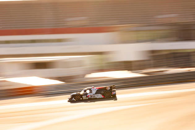 AUTO - MLC 2026 - PORTIMAO 85 FROST Danial (sgp), PEUGEOT Enzo (fra), R-ace GP, Duqueine D09 - Toyota, LMP3, action during the 6th round of the 2026 Michelin Le Mans Cup on the Autodromo Internacional do Algarve from October 8 to 10, 2026 in Portimao, Portugal - Copyright: xJoaoxFilipex