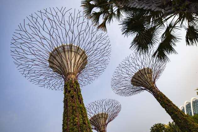 F1 - SINGAPORE GRAND PRIX 2026 Gardens by the Bay, ambiance during the 2026 Formula 1 Singapore Grand Prix, 17th round of the 2026 Formula One World Championship, WM, Weltmeisterschaft from October 9 to 11, 2026 on the Marina Bay Street Circuit, in Singapore, Singapore - SingaporeSingapore Copyright: xJulienxDelfossex