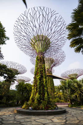 F1 - SINGAPORE GRAND PRIX 2026 Gardens by the Bay, ambiance during the 2026 Formula 1 Singapore Grand Prix, 17th round of the 2026 Formula One World Championship, WM, Weltmeisterschaft from October 9 to 11, 2026 on the Marina Bay Street Circuit, in Singapore, Singapore - SingaporeSingapore Copyright: xJulienxDelfossex