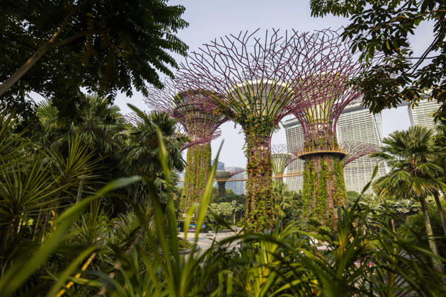 F1 - SINGAPORE GRAND PRIX 2026 Gardens by the Bay, ambiance during the 2026 Formula 1 Singapore Grand Prix, 17th round of the 2026 Formula One World Championship, WM, Weltmeisterschaft from October 9 to 11, 2026 on the Marina Bay Street Circuit, in Singapore, Singapore - SingaporeSingapore Copyright: xJulienxDelfossex