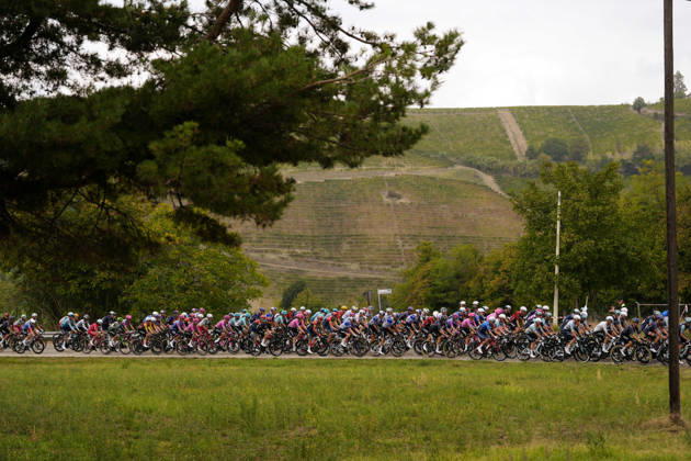 The pack rides during the 110th edition of the Gran Piemonte 2026 a 185 km one day race from Asti to Bra on October 08, 2026, Italy. Copyright: xFabioxFerrari LaPressex