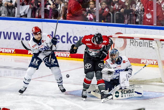 Joacim Eriksson (Schwenninger Wild Wings, 60) in Bedraengnis Koelner Haie vs. Schwenninger Wild Wings, Eishockey, Penny DEL, Spieltag 07, 2026 2027, 09.10.2026 Koelner Haie vs. Schwenninger Wild Wings, Eishockey, Penny DEL, Spieltag 07, 2026 2027, 09.10.2026 Koeln Copyright: xEibner-Pressefoto GerhardxWingenderx EP_GWR