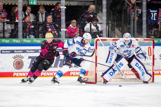 09.10.2026 - Eishockey - Saison 2026 2027 - Penny DEL - Nürnberg Ice Tigers Icetigers - Adler Mannheim - ThHa - xthxhax - Thomas Heigl (49, Nürnberg Ice Tigers, NIT ) Dan Renouf (4, Adler Mannheim ) Maximilian Franzreb (56, Adler Mannheim )