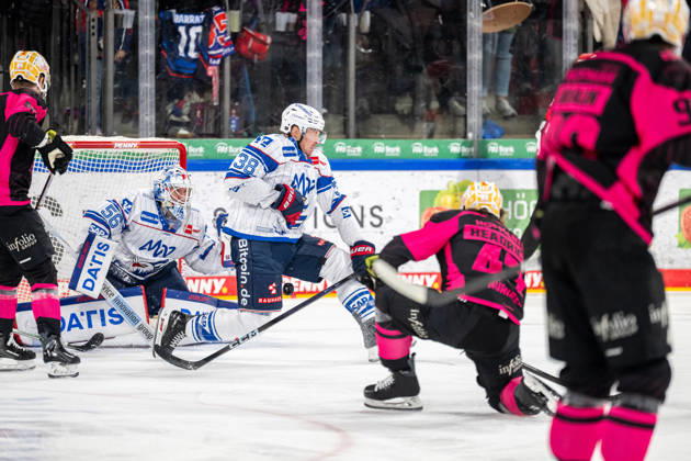 09.10.2026 - Eishockey - Saison 2026 2027 - Penny DEL - Nürnberg Ice Tigers Icetigers - Adler Mannheim - ThHa - xthxhax - Thomas Heigl (49, Nürnberg Ice Tigers, NIT ) Dan Renouf (4, Adler Mannheim ) Maximilian Franzreb (56, Adler Mannheim ) Patrick Brown (38, Adler Mannheim )