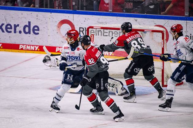 COLOGNE, GERMANY - 9 OCTOBER, 2026: - The PENNY DEL Ice hockey, Eishockey match Koelner Haie vs. Schwenninger Wild Wings at LANXESS arena.  Copyright: xVitaliixKliuievx