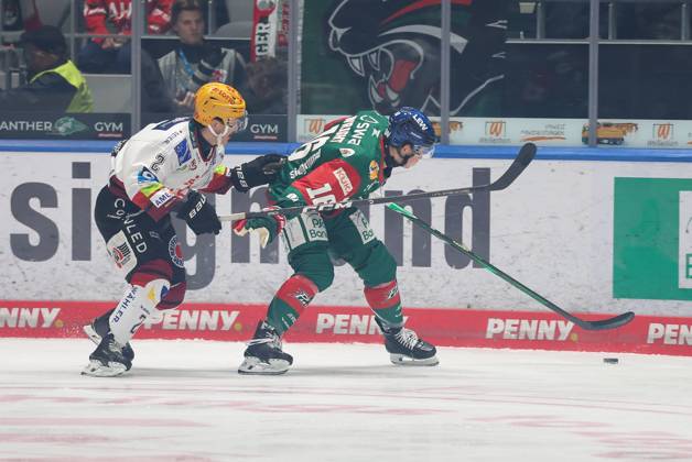 im Zweikampf, Aktion, mit Akito Hirose (Fischtown Pinguins 2), Cameron Wright 16 (Augsburger Panther), Augsburger Panther vs. Fischtown Pinguins, 7. Spieltag, Eishockey, Penny-DEL, 09.10.2026 Augsburg Bayern Deutschland