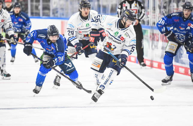 Straubing Tigers vs. Iserlohn Roosters, Eishockey, Deutsche Eishockey Liga, Penny DEL, 7.Spieltag, Saison 2026 2027, 09.10.2026 Skyler McKenzie (Straubing Tigers) im Duell mit Robin Norell (Iserlohn Roosters), Eishockey Herren, Deutsche Eishockey Liga, Penny DEL, 5.Spieltag, Saison 2026 2027 am 09.10.2026 im Eisstadion am Pulverturm, Straubing Tigers (blau) gegen Iserlohn Roosters (weiss)