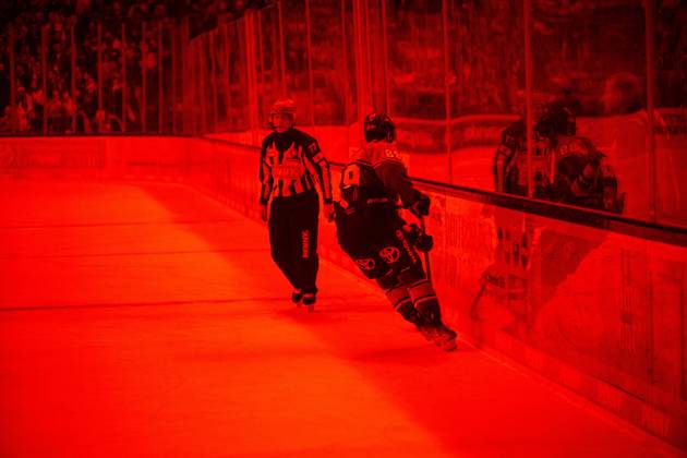 COLOGNE, GERMANY - 9 OCTOBER, 2026: - The PENNY DEL Ice hockey, Eishockey match Koelner Haie vs. Schwenninger Wild Wings at LANXESS arena. Copyright: xVitaliixKliuievx