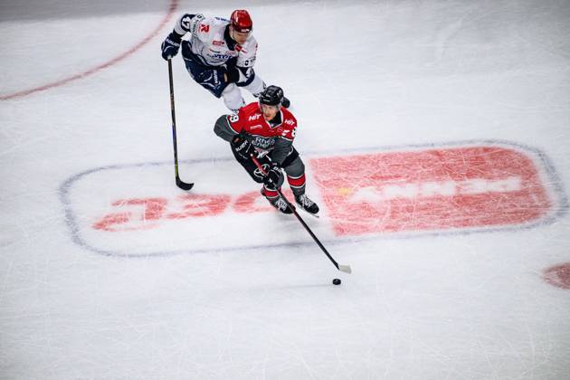 COLOGNE, GERMANY - 9 OCTOBER, 2026: - The PENNY DEL Ice hockey, Eishockey match Koelner Haie vs. Schwenninger Wild Wings at LANXESS arena. Copyright: xVitaliixKliuievx