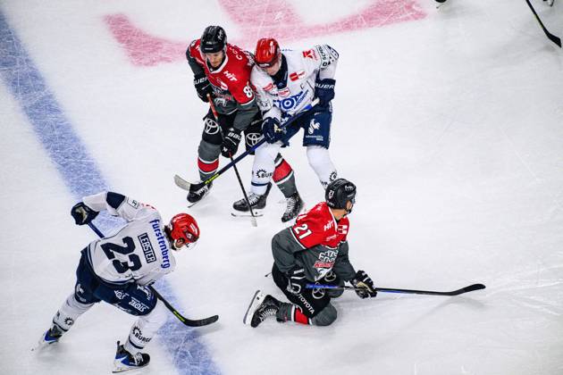 COLOGNE, GERMANY - 9 OCTOBER, 2026: - The PENNY DEL Ice hockey, Eishockey match Koelner Haie vs. Schwenninger Wild Wings at LANXESS arena.  Copyright: xVitaliixKliuievx