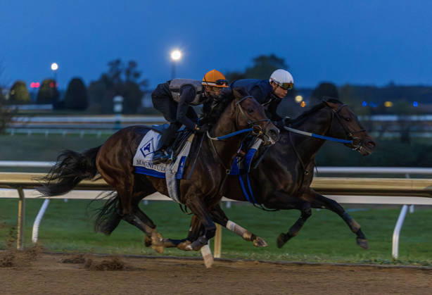 HORSE RACING 2026: QEII GI Day Keeneland OCT 10 October 10, 2026, Lexington, Ky, USA: Magnitude works in preparation for the Breeders Cup on QEII GI Day on October 10, 2026. Candice Chavez Eclipse Sportswire CSM(Credit Image: Â {Serial Cal Media) Lexington Ky USA EDITORIAL USE ONLY Copyright: xx ZUMA-20261010_faf_cs17_001.jpg {Serialx csmphotothree532489