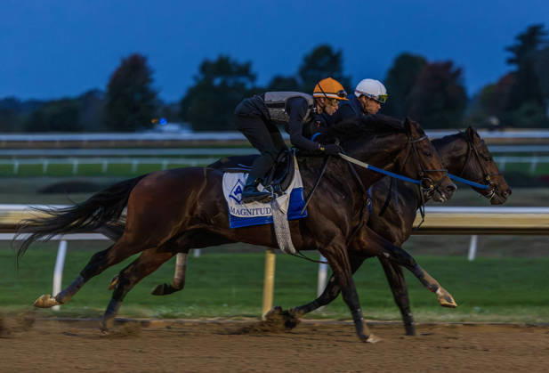 HORSE RACING 2026: QEII GI Day Keeneland OCT 10 October 10, 2026, Lexington, Ky, USA: Magnitude works in preparation for the Breeders Cup on QEII GI Day on October 10, 2026. Candice Chavez Eclipse Sportswire CSM(Credit Image: Â {Serial Cal Media) Lexington Ky USA EDITORIAL USE ONLY Copyright: xx ZUMA-20261010_faf_cs17_002.jpg {Serialx csmphotothree532490