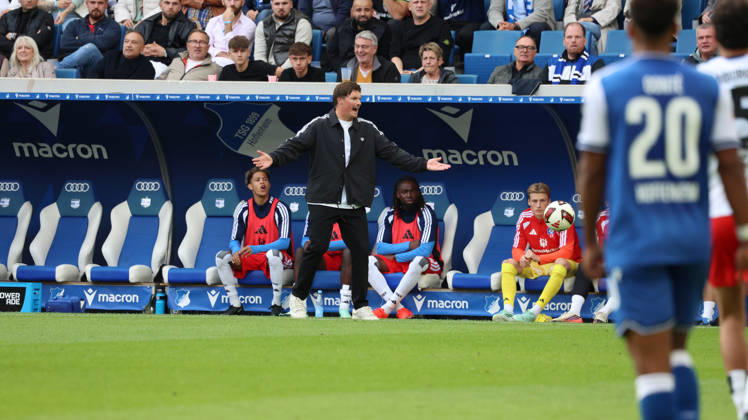 10.10.2026, xrekx, Fussball 1.Bundesliga, TSG 1899 Hoffenheim - Hamburger SV v.l. Merlin Polzin Trainer (Hamburger SV) gibt Anweisungen, gestikuliert, mit den Armen gestikulieren gives instructions, gesticulate (DFL DFB REGULATIONS PROHIBIT ANY USE OF PHOTOGRAPHS as IMAGE SEQUENCES and or QUASI-VIDEO) Sinsheim