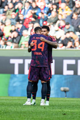 Ismael Saibari Ben El Basra (34 Bayern) und Luis Diaz (14 Bayern) jubeln über das Tor zum 1-1 beim Bundesligaspiel FC Augsburg - FC Bayern München am 10.10.2026.