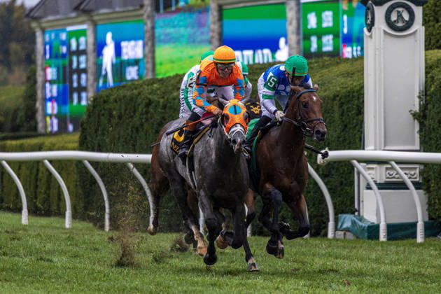 October 10, 2026, USA: Merlin Monroan (6) ridden by Tyler Gaffalione wins an allowance race on QE II Day at Keeneland Race Course in Lexington, Kentucly on October 10, 2026. Eclipse Sportswire CSM HORSE RACING 2026: QEII GI Day Keeneland OCT 10  - ZUMAcs17 20261010_faf_cs17_004 Copyright: xCaseyxLaughterx