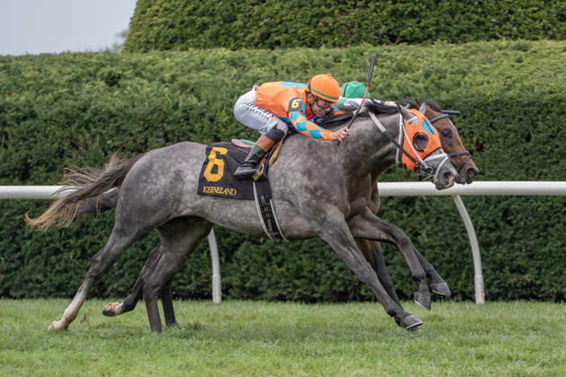 October 10, 2026, Lexington, Kentucky, USA: Merlin Monroan (6) ridden by Tyler Gaffalionhe wins an allowance on QEII Day on October 10, 2026. Jessica Morgan Eclipse Sportswire CSM Lexington USA - ZUMAcs17 20261010_faf_cs17_003 Copyright: x01354200x