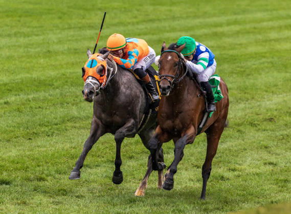 HORSE RACING 2026: QEII GI Day Keeneland OCT 10 October 10, 2026, Lexington, Ky, USA: Merlin Monroan (6) ridden by Tyler Gaffalione wins an allowance on QEII GI Day on October 10, 2026. Candice Chavez Eclipse Sportswire CSM(Credit Image: Â {Serial Cal Media) Lexington Ky USA EDITORIAL USE ONLY Copyright: xx ZUMA-20261010_faf_cs17_008.jpg {Serialx csmphotothree532579