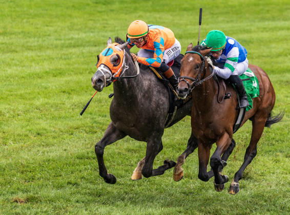 HORSE RACING 2026: QEII GI Day Keeneland OCT 10 October 10, 2026, Lexington, Ky, USA: Merlin Monroan (6) ridden by Tyler Gaffalione wins an allowance on QEII GI Day on October 10, 2026. Candice Chavez Eclipse Sportswire CSM(Credit Image: Â {Serial Cal Media) Lexington Ky USA EDITORIAL USE ONLY Copyright: xx ZUMA-20261010_faf_cs17_007.jpg {Serialx csmphotothree532580