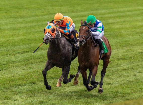 October 10, 2026, Lexington, Ky, USA: Merlin Monroan (6) ridden by Tyler Gaffalione wins an allowance on QEII GI Day on October 10, 2026. Candice Chavez Eclipse Sportswire CSM Lexington USA - ZUMAcs17 20261010_faf_cs17_011 Copyright: x {Serialx