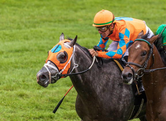 October 10, 2026, Lexington, Ky, USA: Merlin Monroan (6) ridden by Tyler Gaffalione wins an allowance on QEII GI Day on October 10, 2026. Candice Chavez Eclipse Sportswire CSM HORSE RACING 2026: QEII GI Day Keeneland OCT 10  - ZUMAcs17 20261010_faf_cs17_010 Copyright: x {Serialx