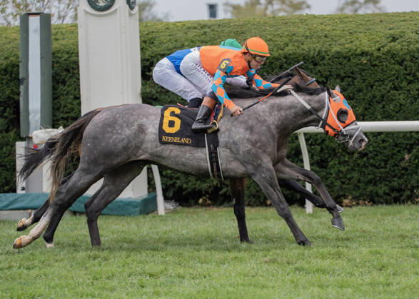 HORSE RACING 2026: QEII GI Day Keeneland OCT 10 October 10, 2026, Lexington, Kentucky, USA: Merlin Monroan (6) ridden by Tyler Gaffalionhe wins an allowance on QEII Day on October 10, 2026. Jessica Morgan Eclipse Sportswire CSM(Credit Image: Â Cal Media) Lexington Kentucky USA EDITORIAL USE ONLY Copyright: xx ZUMA-20261010_faf_cs17_013.jpg 01354200x csmphotothree532583