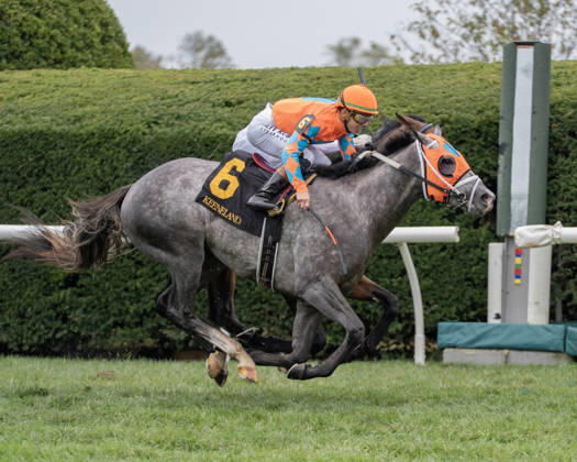 October 10, 2026, Lexington, Kentucky, USA: Merlin Monroan (6) ridden by Tyler Gaffalionhe wins an allowance on QEII Day on October 10, 2026. Jessica Morgan Eclipse Sportswire CSM Lexington USA - ZUMAcs17 20261010_faf_cs17_012 Copyright: x01354200x