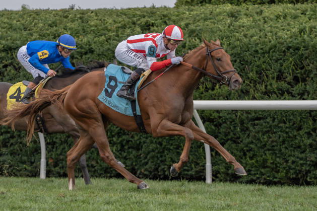 HORSE RACING 2026: QEII GI Day Keeneland OCT 10 October 10, 2026, Lexington, Kentucky, USA: Global Unrest (9) ridden by Flavien Prat wins a maiden special weight on QEII Day on October 10, 2026. Jessica Morgan Eclipse Sportswire CSM(Credit Image: Â Cal Media) Lexington Kentucky USA EDITORIAL USE ONLY Copyright: xx ZUMA-20261010_faf_cs17_021.jpg 01354200x csmphotothree532695