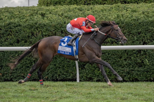 HORSE RACING 2026: QEII GI Day Keeneland OCT 10 October 10, 2026, Lexington, Kentucky, USA: Tam Tam (3) ridden by Junior Alvarado wins the Queen Elizabeth II Challenge Cup Stakes (Grade 1) Presented by Dixiana on October 10, 2026. Jessica Morgan Eclipse Sportswire CSM(Credit Image: Â Cal Media) Lexington Kentucky USA EDITORIAL USE ONLY Copyright: xx ZUMA-20261010_faf_cs17_031.jpg 01354200x csmphotothree532739